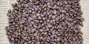Roasted Robusta Coffee Beans
