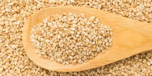 Sesame Seeds