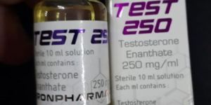 Testosterone Enanthate 250mg Injection