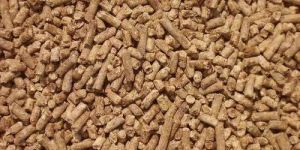 Animal Cattle Feed