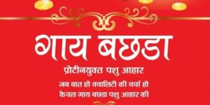 50 Kg Gay Bachda Pashu Aahar