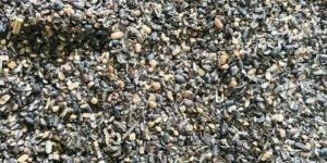 Urad Churi Cattle Feed