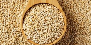 Quinoa Seeds