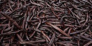 Vanilla Beans