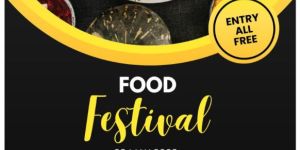 Brochure Design Services