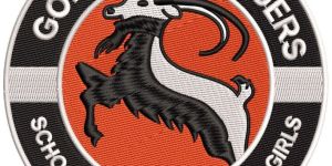 Professional Logo Designing Service