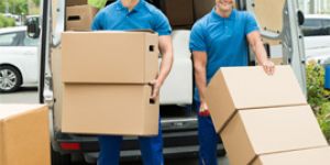 Transportaion Service