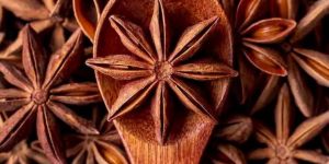 Star Anise