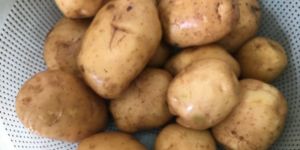 Potato