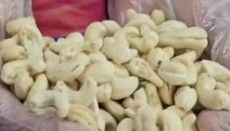 Cashew Nuts