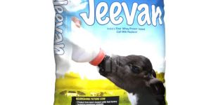 Amul Jeevan Milk Replacer