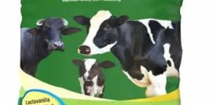 Bovi Plus Minerals Vitamin Mixture