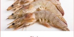 Shrimps