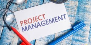 Non Voice Bpo Projects