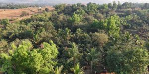 farmhouse plots service