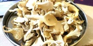 Dry Oyster Mushroom