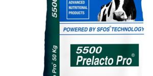 deheus prelacto pro 5500 cattle feed