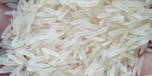 1509 Basmati Rice