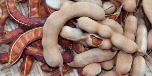 Tamarind Seed