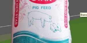 Golden Star Pig Feed