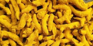 Yellow Turmeric Powder