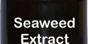 Liquid Seaweed Extract Fertilizer