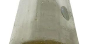 Trichoderma Bio Fungicide