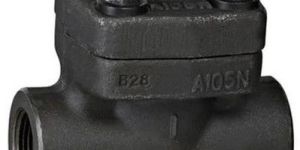 Stainless Steel Swing Check Valve