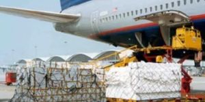 IATA Delivery Service