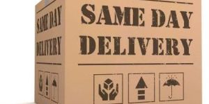 Same Day Delivery Service