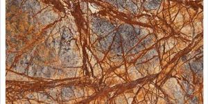 Indian Rainforest Brown Granite Slabs