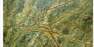 Indian Rainforest Green Granite Slabs