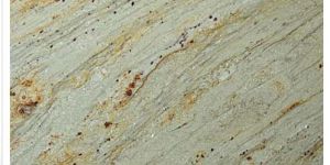 Indian River Gold Granite Slabs