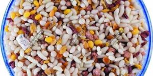 Without Supari Party Special Mouth Freshener