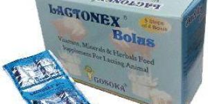 Lactonex Bolus
