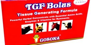 TGF Bolus