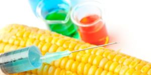 Thermostable Gluco-Amylase YIELD Corn Exclusive