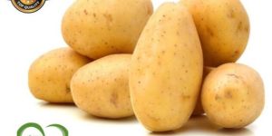 Sugar Free Potato