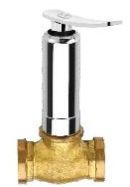 Venue Concealed Valve