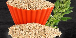 Quinoa Seeds