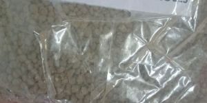 Sargassum Seaweed Bag