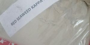 red seaweed kappa powder