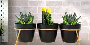 Metal Planters