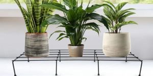 Iron Flower Pot Stand