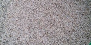 White Sesame Seed