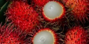 rambutan a grade mangosteen
