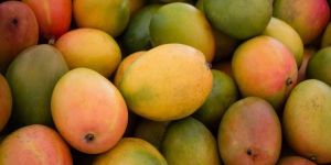 Fresh Mangoes