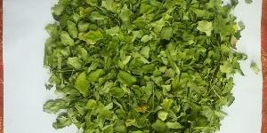 Moringa Leaves