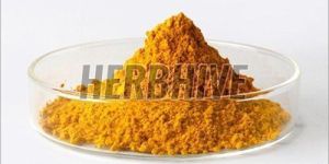 Vitamin B9 Folic Acid Powder