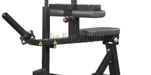 Seated Calf Machine